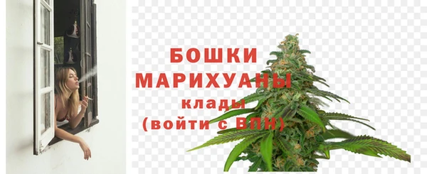 сатива Козловка