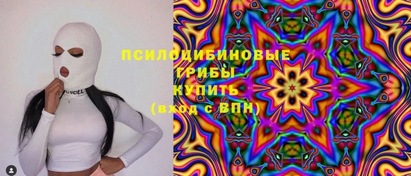 ECSTASY Богородицк