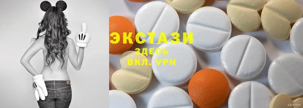ECSTASY Богородицк