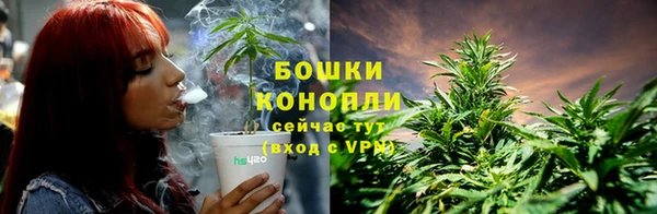 ECSTASY Богородицк
