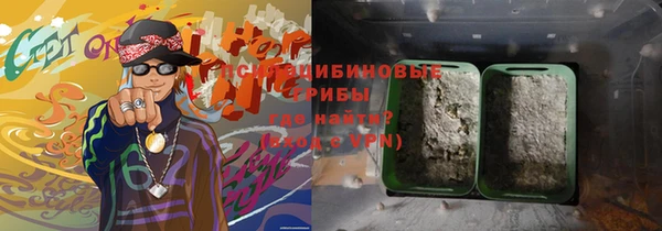 ECSTASY Богородицк