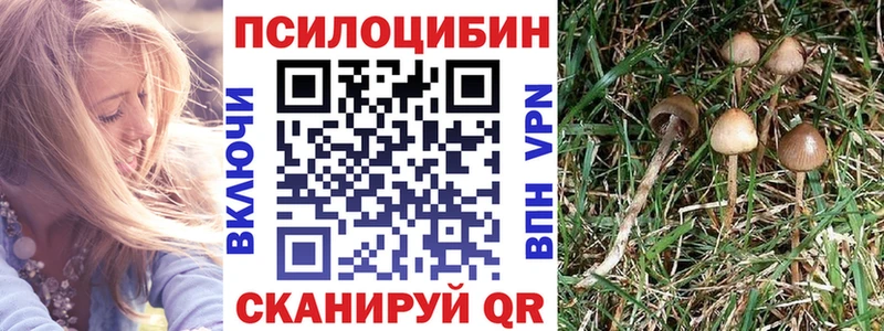 Псилоцибиновые грибы MAGIC MUSHROOMS  Михайлов 